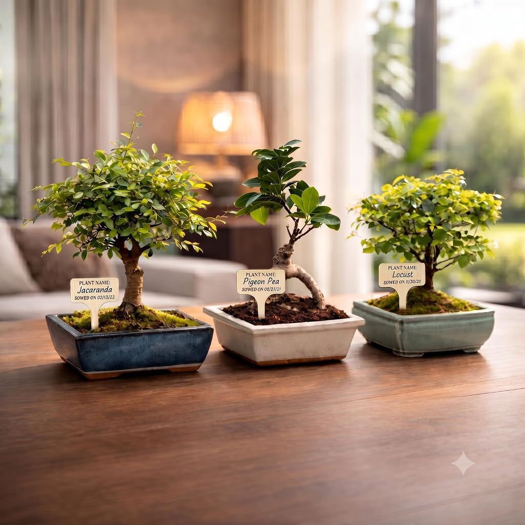 Bonsai Tree Kit Classic - Growing 4 Unique Japanese Bonzai Trees