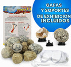 National Geographic Break Open 15 Premium Geodes Science Kit para Kids