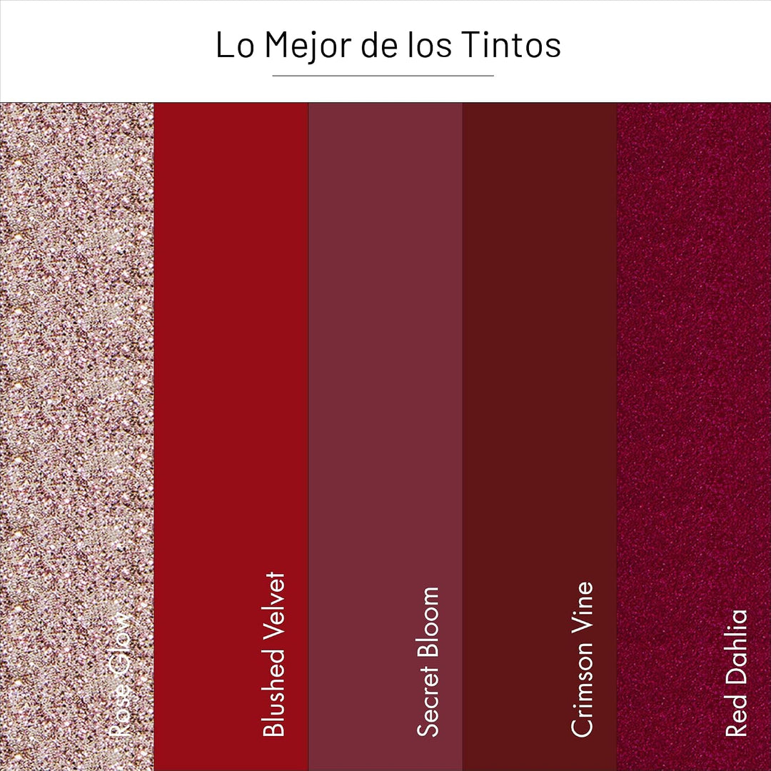Dashing Diva Kit de Tiras para Uñas con Brillo 5 en 1 - Lo Mejor de...