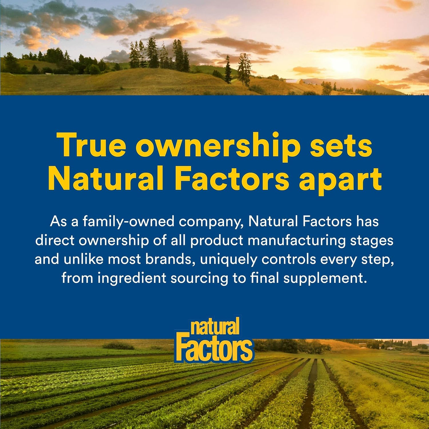 Natural Factors, Multivitamínico y mineral para hombres, 1 porción...