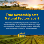 Natural Factors, Multivitamínico y mineral para hombres