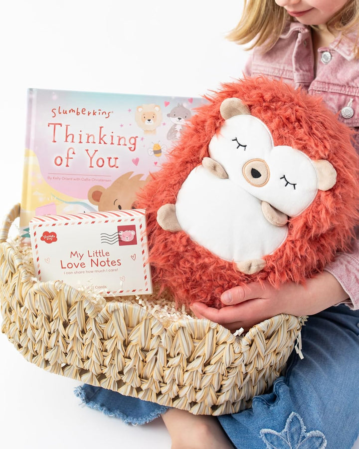 Slumberkins Hedgehug Valentines Set - XL Hedgehog Plush