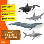 Schleich Wild Life - Juego de 4 animales oceánicos para niños a partir de 3