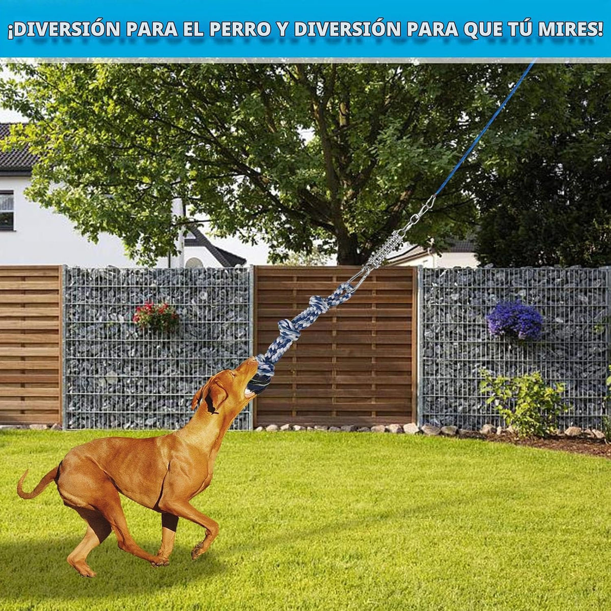 TRSMIMA - Juguetes de cuerda de poste de resorte para perros resistentes