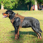 Beebiepet - Arnés táctico sin tirones para perro, con correa, grande, color
