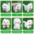 YOUGAANY 2026 New White Pets Walking Puppy Perro