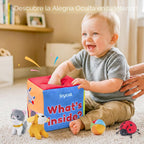 JoyCat Baby Toys 6-12 Months, Mystery Soft Box 10 Sensory Objects, Rattle