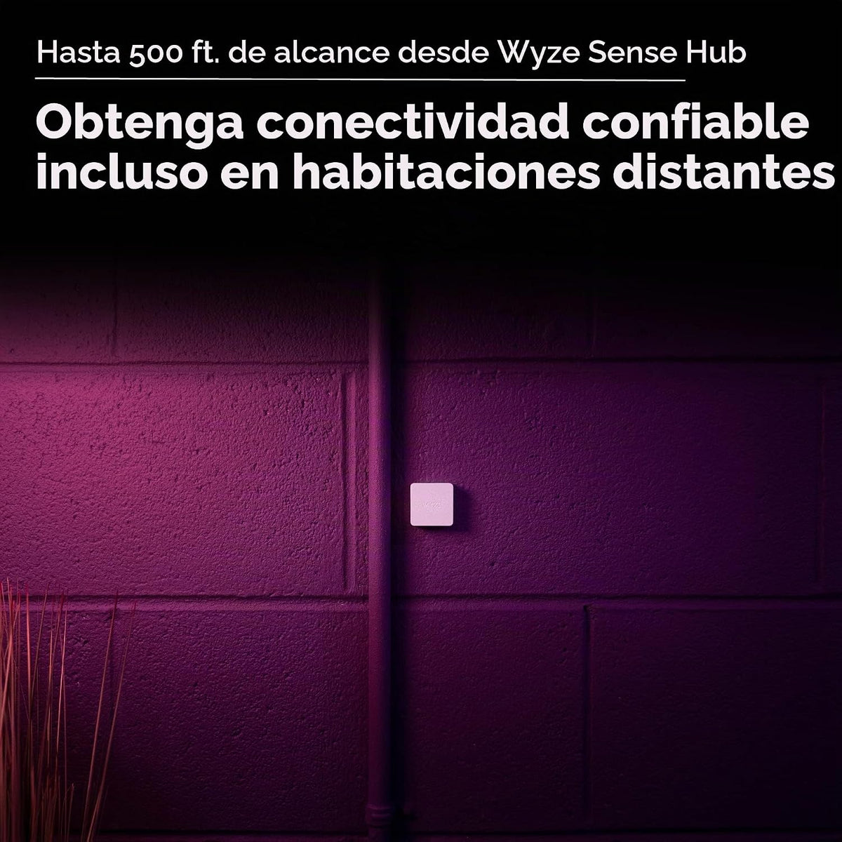 Wyze Sensor de clima (paquete de 3)
