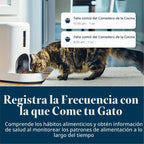 Alimentador inteligente para gatos controlado por aplicación, seguimiento de varios gatos, alimentador de reconocimiento facial AI para gatos