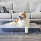 Cama impermeable extragrande para perros, camas ortopédicas jumbo para perros con funda extraíble lavable para perros grandes, alfombrilla de cama para mascotas, espuma tipo cartón de huevos