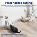 Comedero automático para gatos Microchip RFID, 16 tazas, color