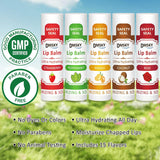 DMSKY Paquete de 240 bálsamos labiales, bálsamo labial natural a gr...