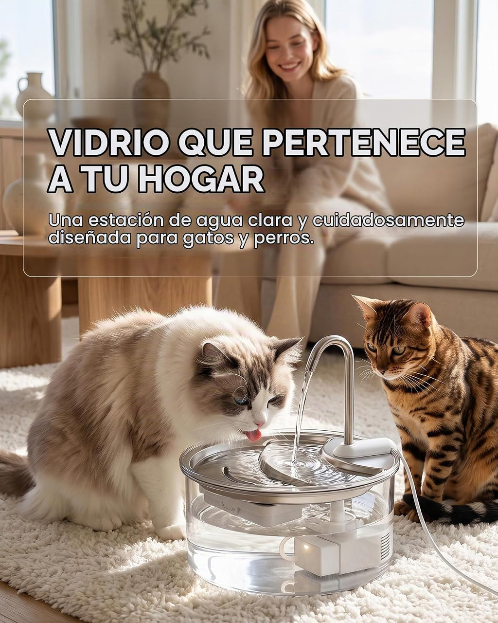 Tomxcute Fuente de agua de cristal para gatos, 84 onzas, apta para