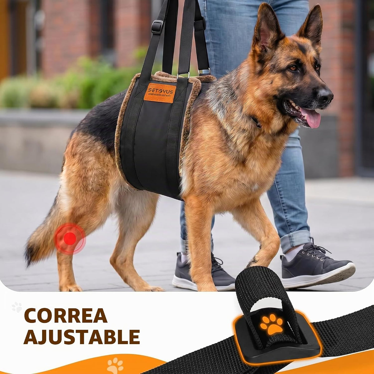Arnés de elevación ajustable para perros, honda grande de la ayuda