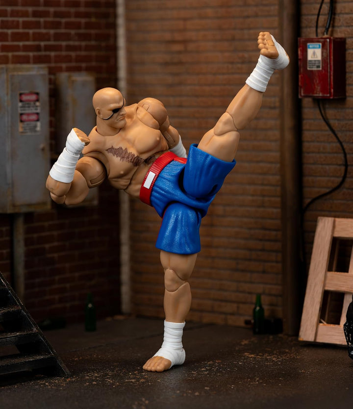 Jada Street Fighter II Sagat Deluxe - Figura de acción a escala 1:1...