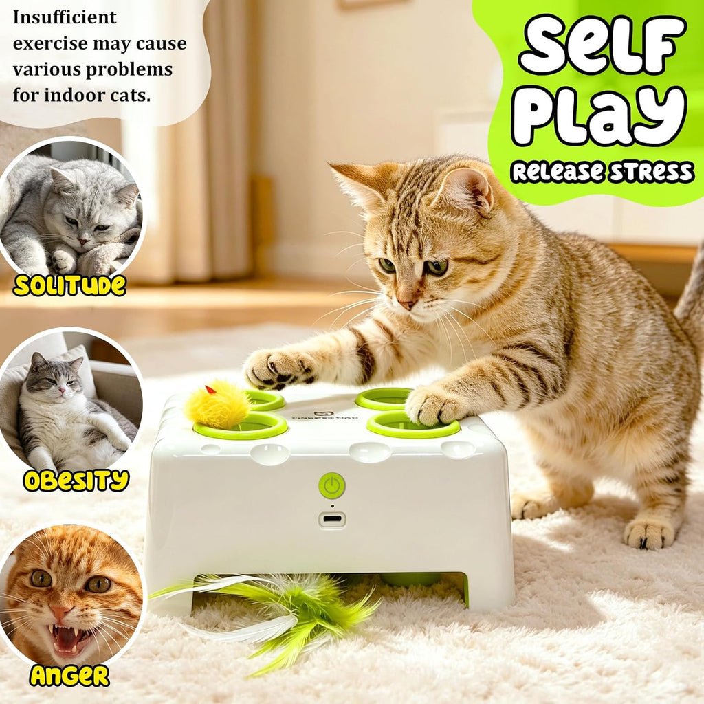 Juguetes automáticos interactivos para gatos, juguete mágico de