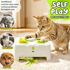Juguetes automáticos interactivos para gatos, juguete mágico de