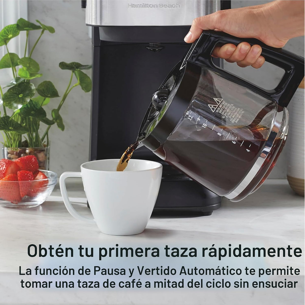 Hamilton Beach FrontFill Cafetera de Goteo Programable para 12 Tazas