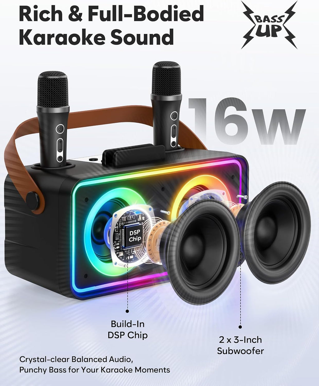 Máquina de karaoke, altavoz portátil Bluetooth con 2 micrófonos