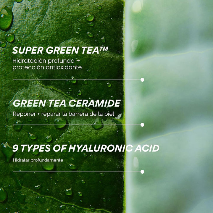 innisfree Té Verde Ceramida Leche, Tónico Lechoso Hidratante y Lige...