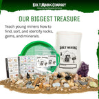 Kit de geología para adultos: rocas, minerales, fósiles, cristales y dientes de tiburón