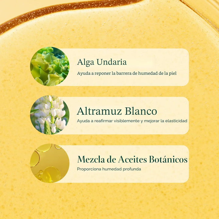OSEA Undaria - Aceite corporal de algas de 5 onzas \u2013 Visibleme...