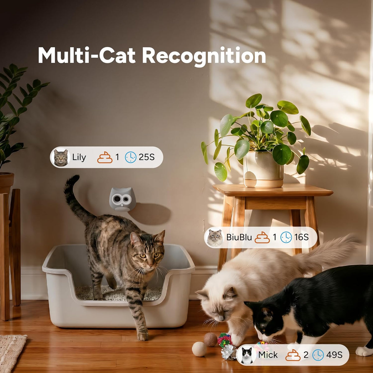 LitterLens - Cámara de arena para gatos con aplicación, monitoreo y alertas de salud AI, orina y taburete, reconocimiento de varios gatos, funciona con cada caja de arena, monitor de salud de