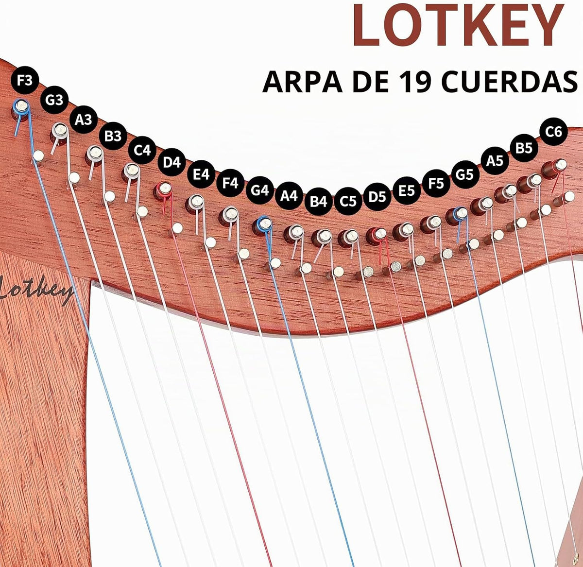 LOTKEY Arpa de 19 cuerdas, arpas de caoba maciza de 29 pulgadas con bolsa de concierto, llave de afinación, correas, instrucciones para jugador profesional de arpa de lira, principiantes, adultos F3 G3 A3 B3 C4 D4 E4 F4 G4 A4 B4 C5 D5 E5 F5 G5 A5 G5 A4 37