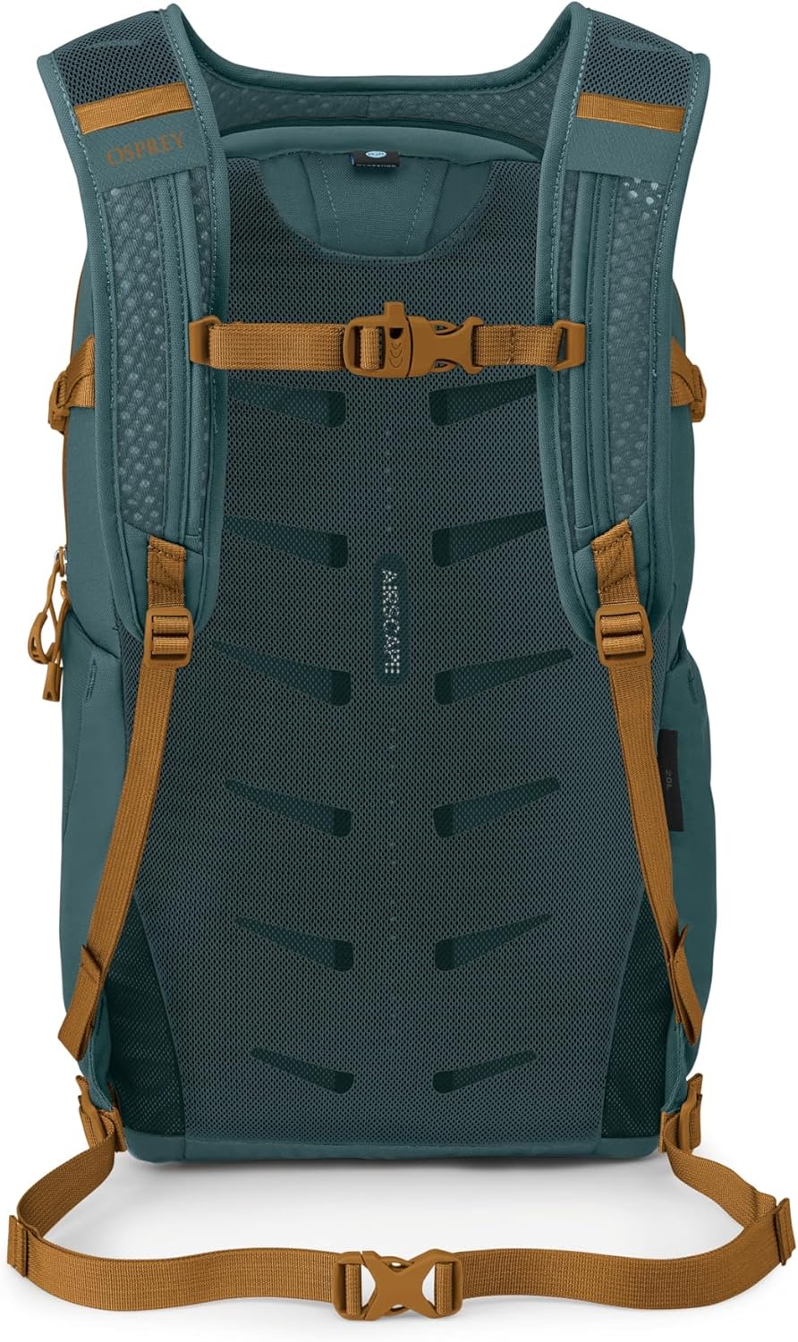 Osprey Daylite Plus - Mochila de viaje diario con funda para laptop...