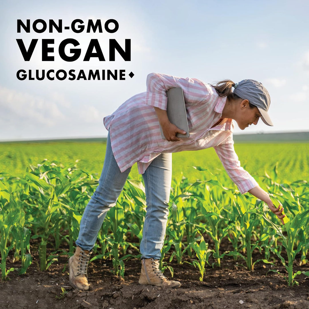 BlueBonnet Suplemento vegetariano de glucosamina Plus MSM, 120 unid...