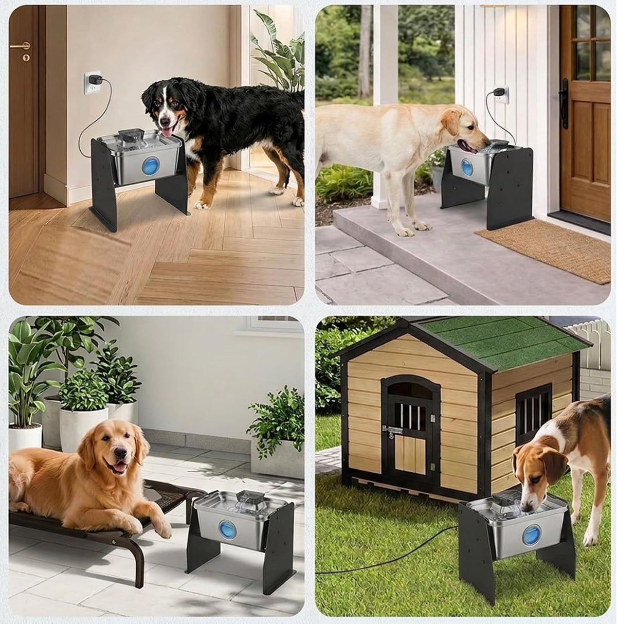 PETTEN Fuente de agua elevada del perro del acero inoxidable interior 12L