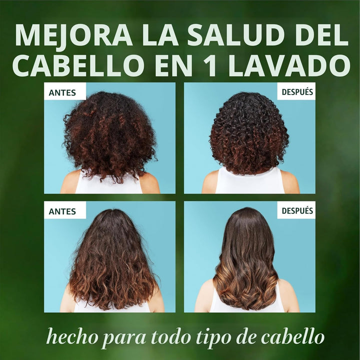 Herbal Essences Juego de champú y acondicionador reparador de aceit...