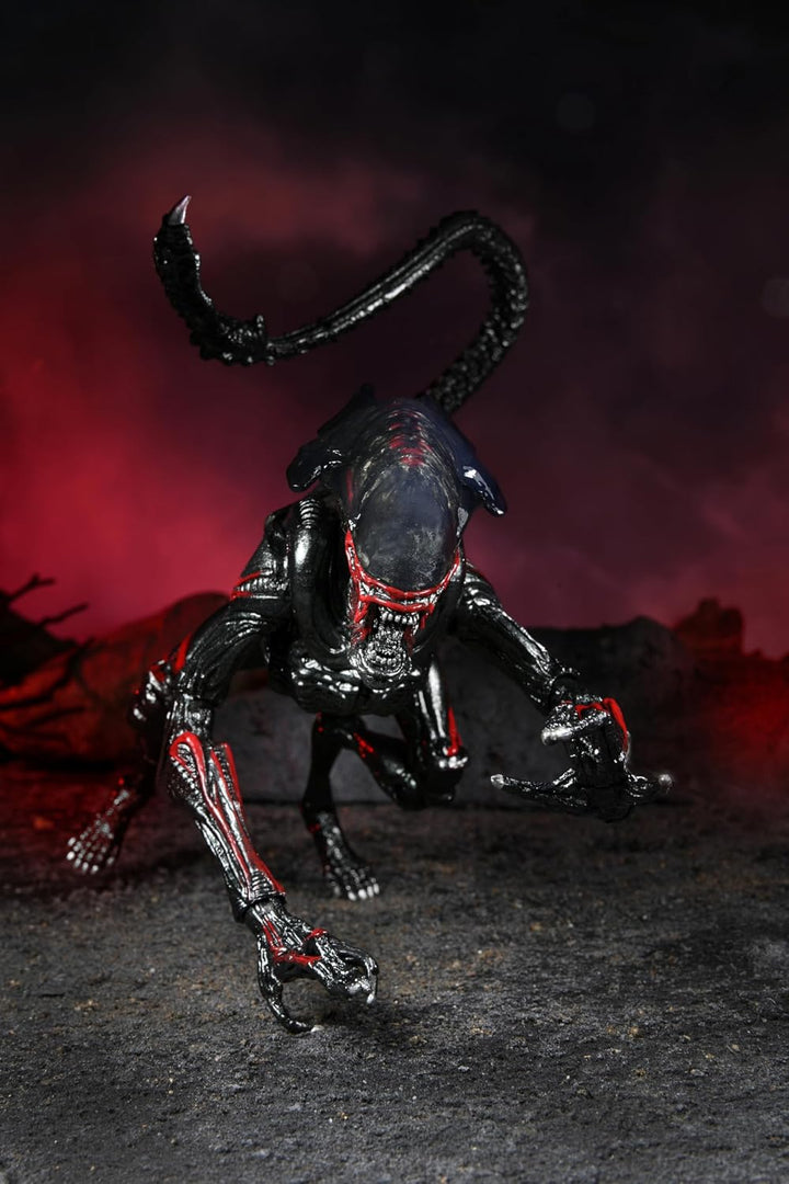 NECA - Aliens - Kenner Night Cougar - Figura de acción de 7 pulgadas