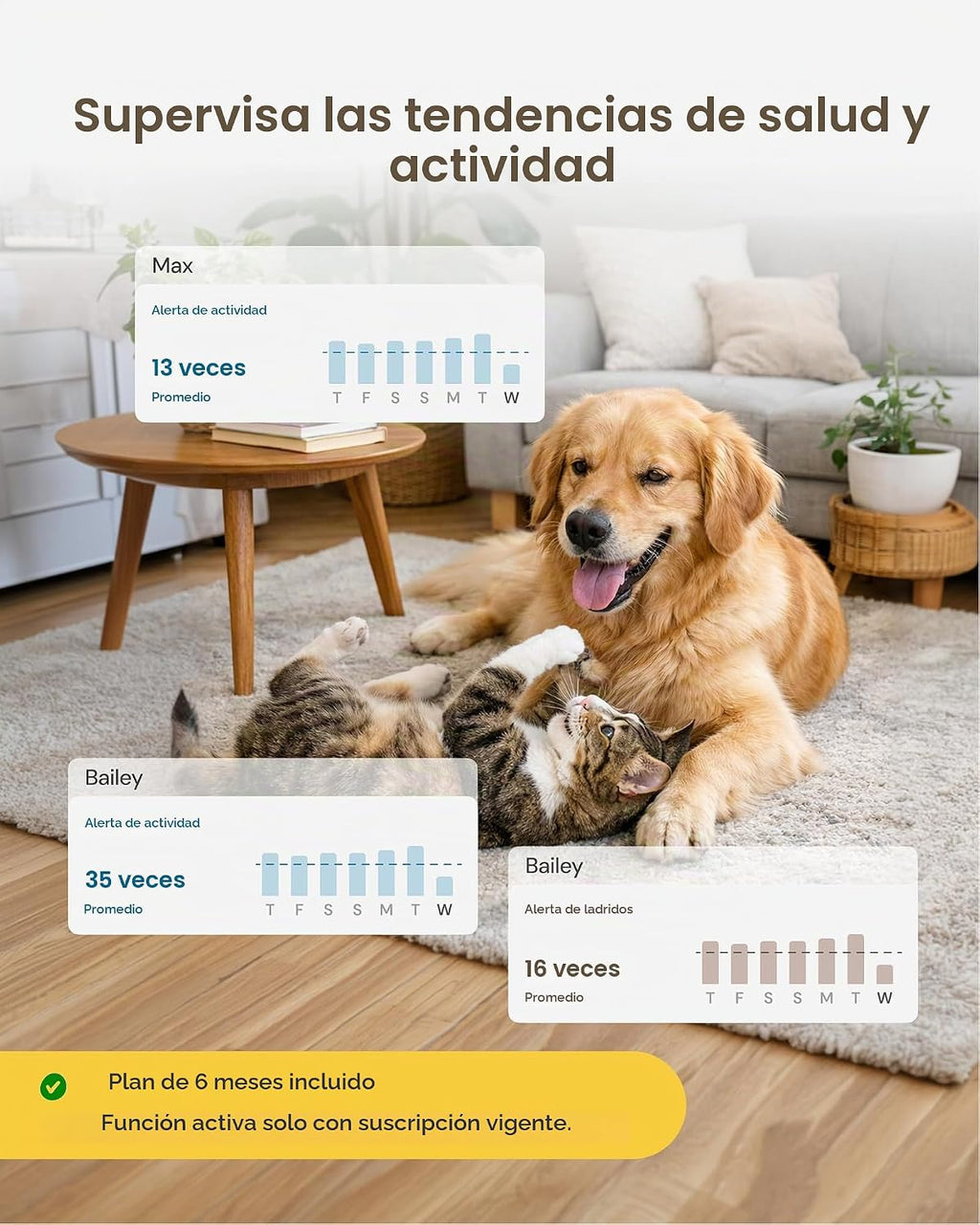 Furbo Mini cámara para mascotas [suscripción de 6 meses incluida]