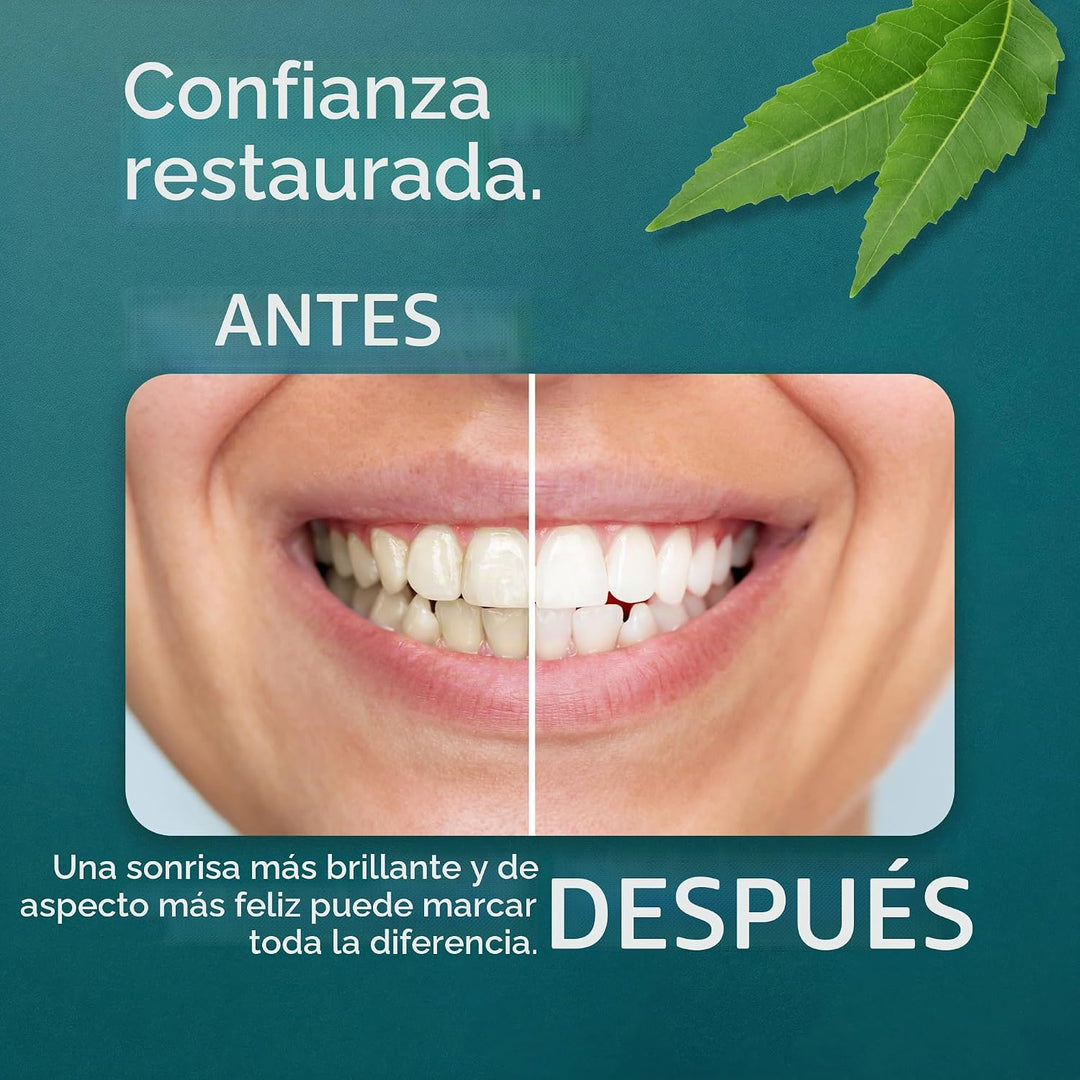 GuruNanda Pasta de dientes hidroxiapatita con neem, SLS y sin flúor...