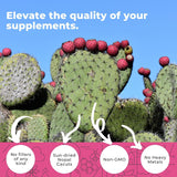 Cápsulas de cactus Nopal de 1500 mg, polvo orgánico de cactus de tu...