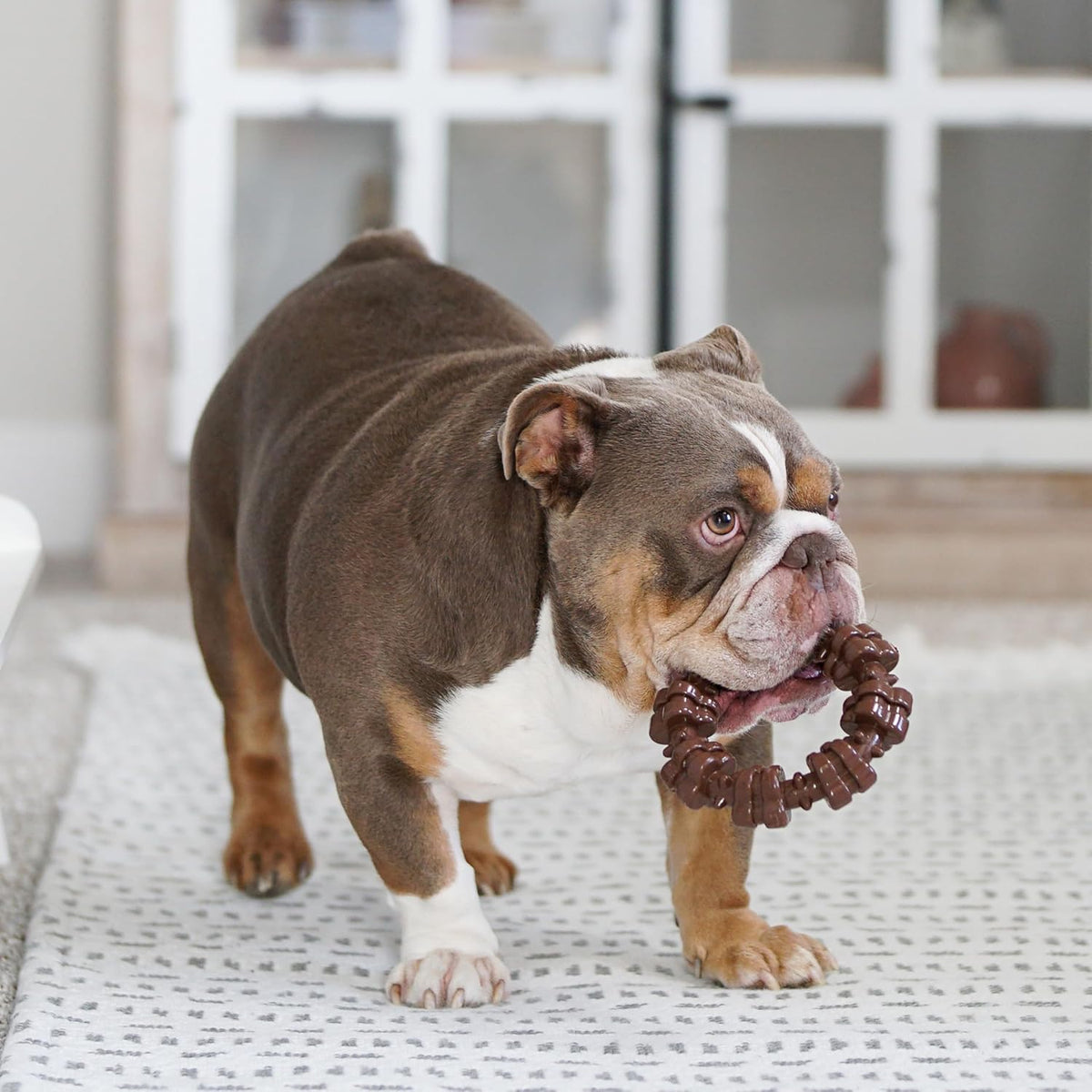 Nylabone Power Chew Favorites de los Clientes Juguetes para Masticar para Perros, Paquete de 3, Grande