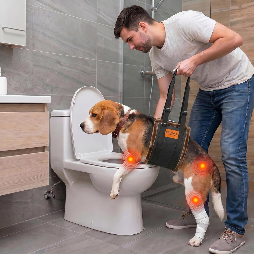 Arnés de elevación ajustable para perros, honda grande de la ayuda