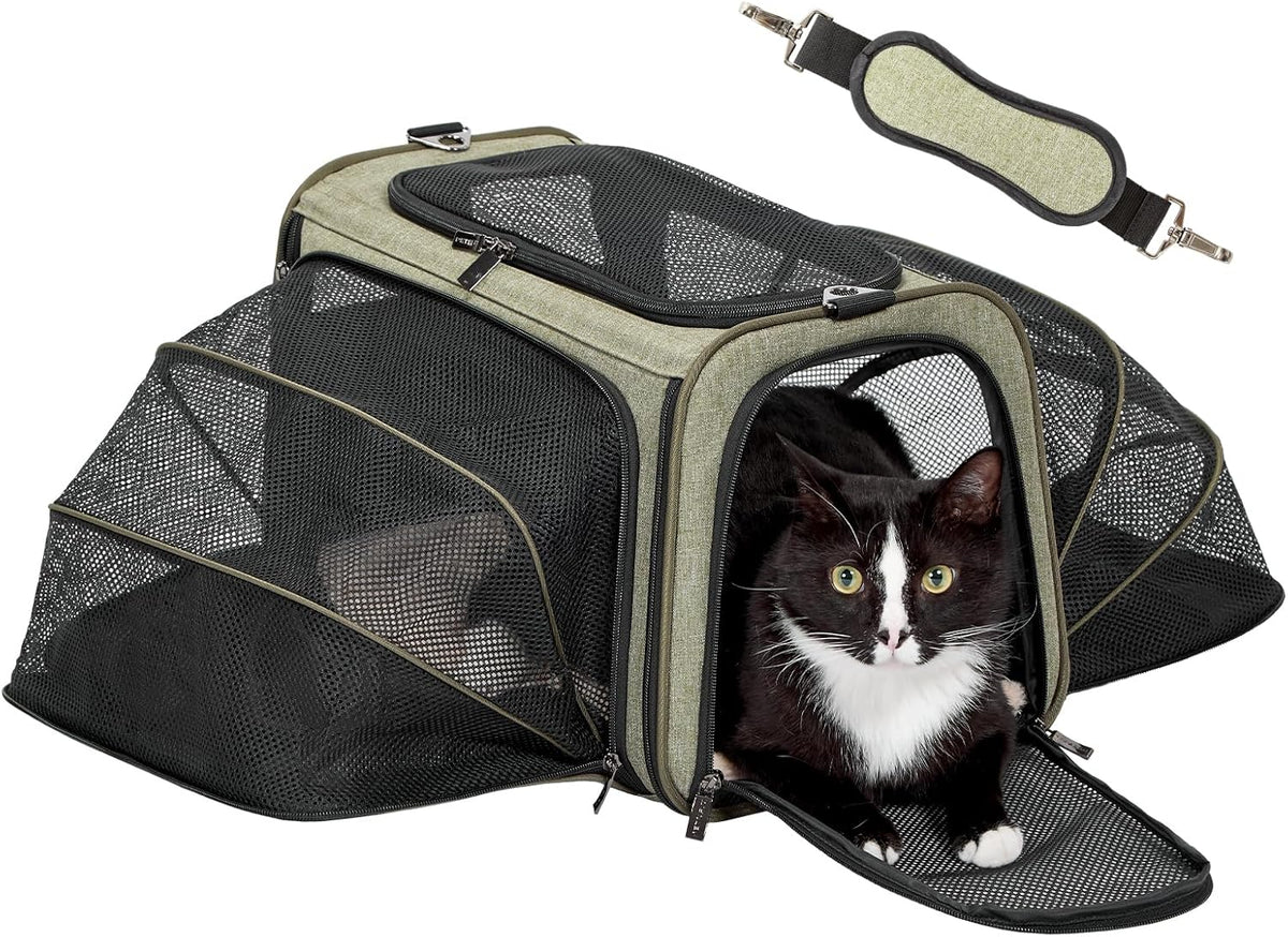 Petsfit Transportador de gatos mediano doble expandible para gatos y perros pequeños