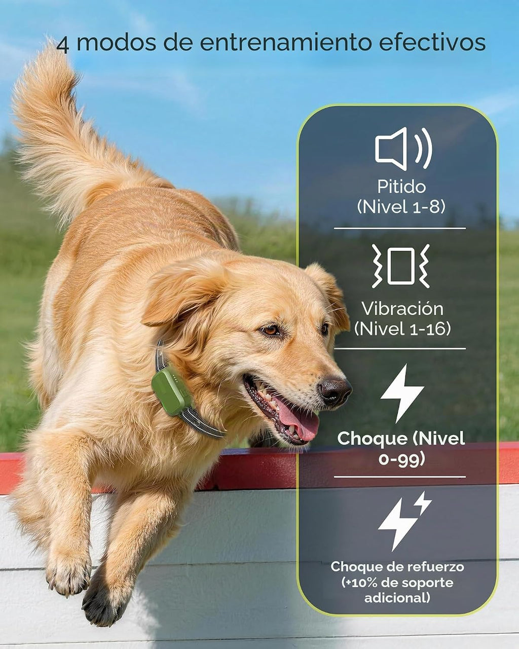 Collar de choque para perros, collar de entrenamiento para perros de 4500