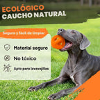 Fida Pelotas de goma natural para perros masticadores agresivos, juguetes duraderos para masticar perros grandes, juguetes interactivos de buscar y tira y afloja para razas medianas y grandes, no