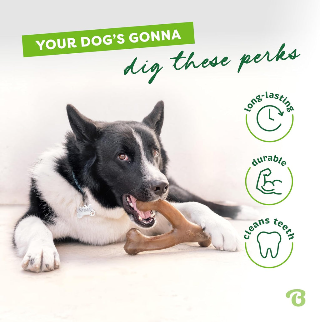Benebone Paquete de 2 juguetes Wishbone para masticadores agresivos, tocino