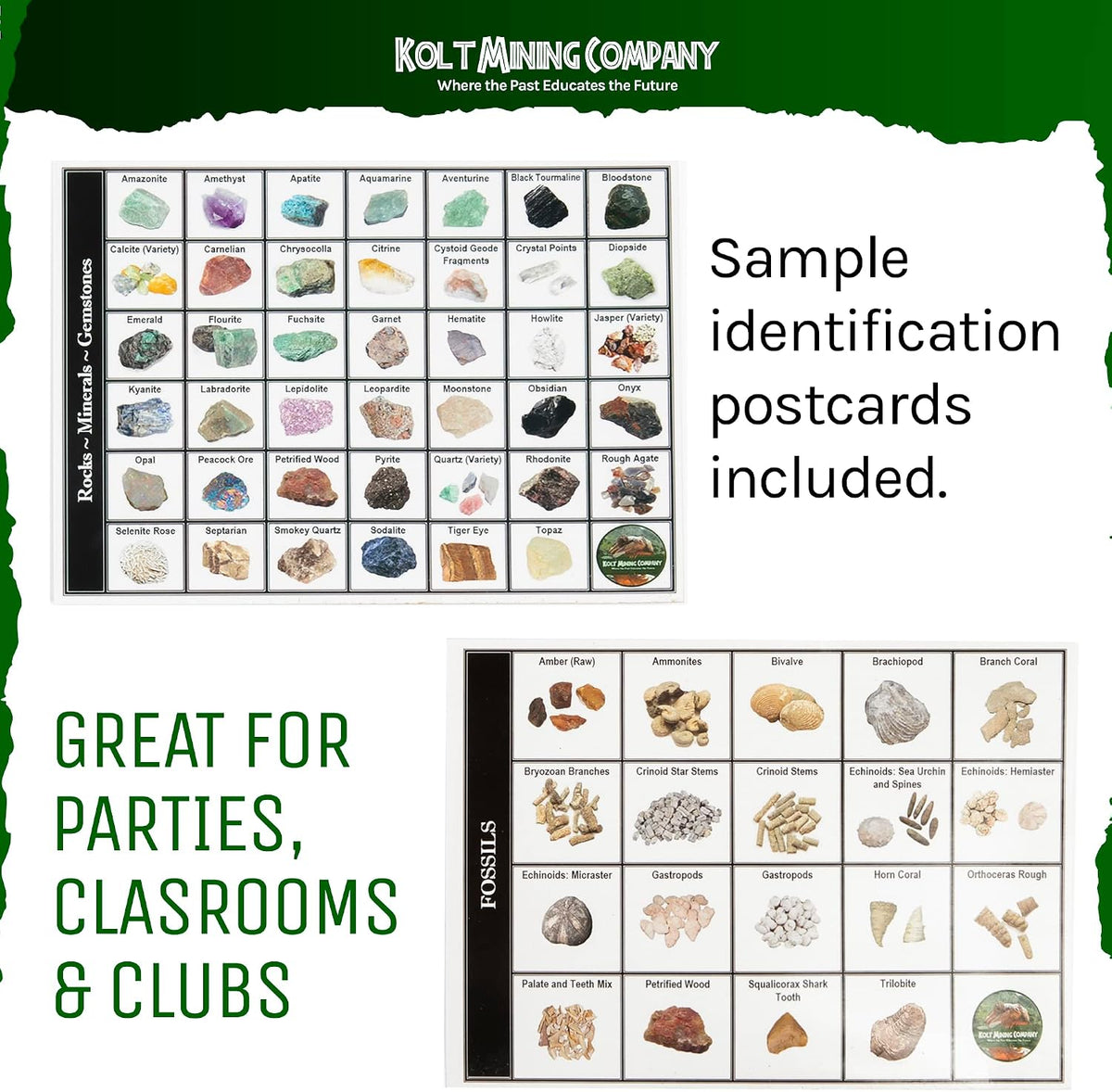 Kit de geología para adultos: rocas, minerales, fósiles, cristales y dientes de tiburón