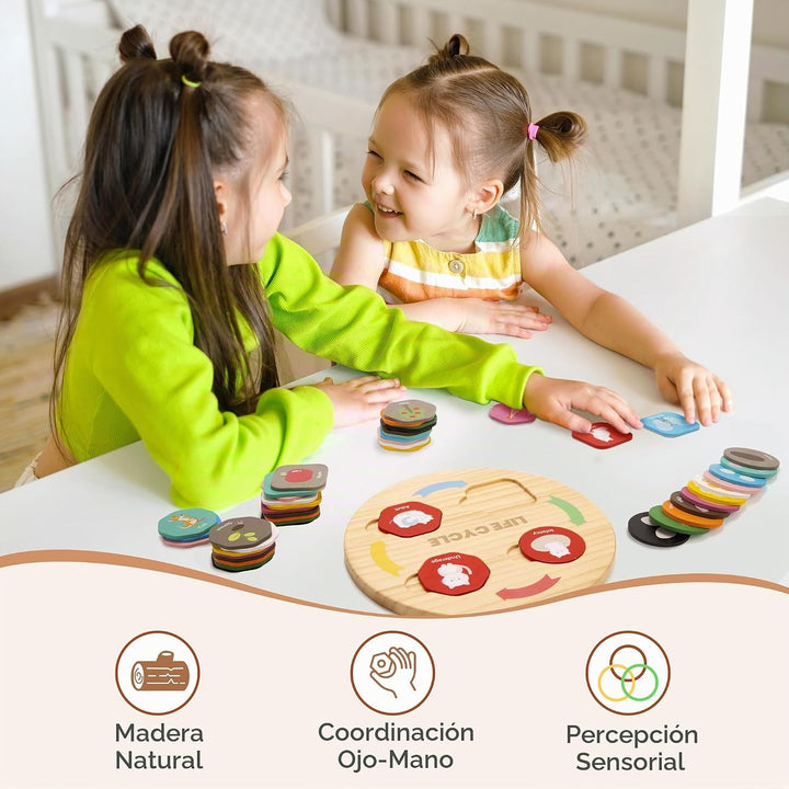 Woodtoe - Juguetes de ciclo de vida, 12 temas Montessori Science To...