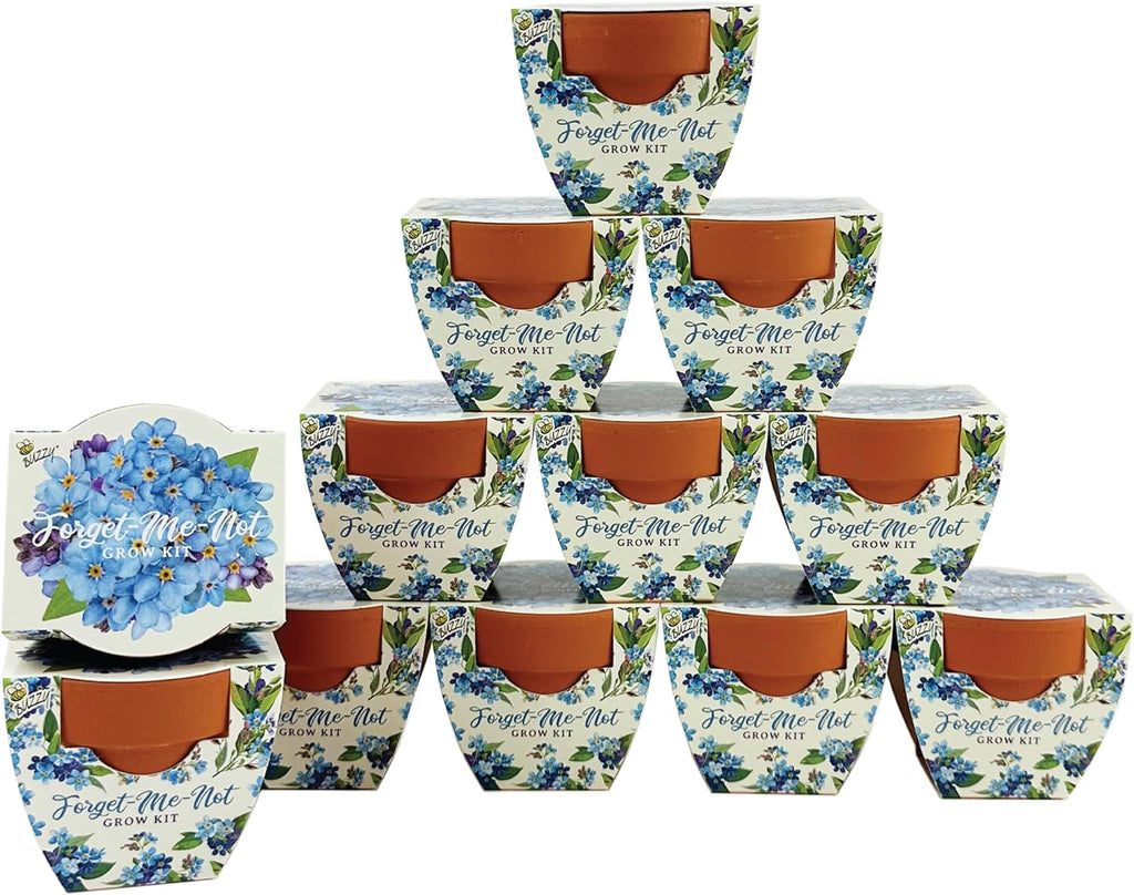 BUZZY Seeds Kit de cultivo Forget-Me-Not - Paquete de 12, macetas de