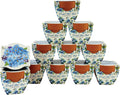 BUZZY Seeds Kit de cultivo Forget-Me-Not - Paquete de 12, macetas de