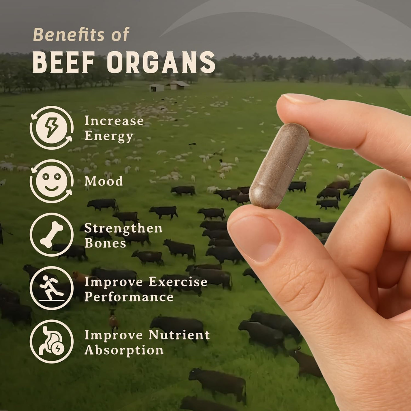 HEART &amp; SOIL \u2013 100% Órganos de res alimentados con pasto y...