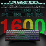 Aula WIN60 HE - 60% Teclado mecánico para juegos con cable, interru...