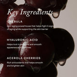 True Botanicals Chebula Extreme Cream | Hidratante antienvejecimien...