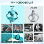 Juego de arnés y correa para gato grande | Chaleco de malla ajustable a prueba de escapes con tiras reflectantes, arnés suave y transpirable sin estrangulamiento para perros pequeños, gatitos extra